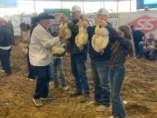 LCFA Market Broiler Show, March 19, 2024/ Mitchell Pate photo.