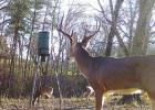 Deer hunters heading to the leases