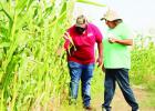 Dewey Prairie Garden combats growing hunger problem in tri-county area