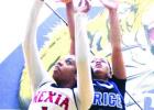 Ladycats fall to Rice in regional quarters, finish 33-5
