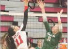 Franklin sweeps Ladycats in district volleyball play